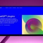 pexels-andrew-16053029